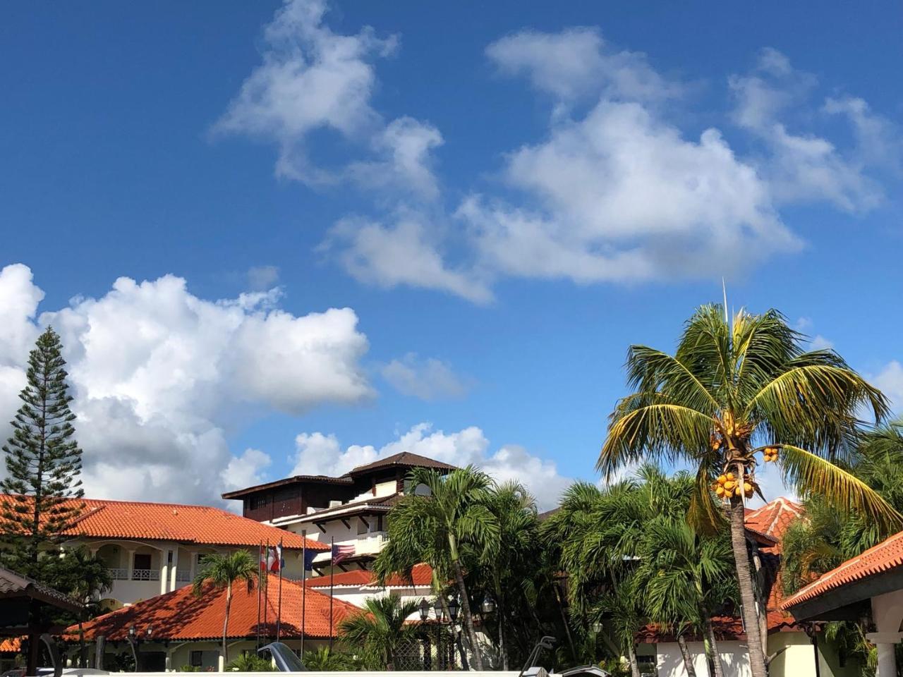 Hotel Seranta Brisas De Bavaro (Adults Only) Пунта-Кана Экстерьер фото